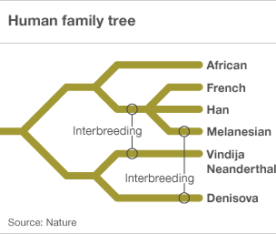 http://www.losai.eu/wp-content/uploads/human_family_tree3042.gif